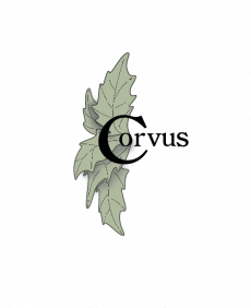 gallery/logo corvus website header